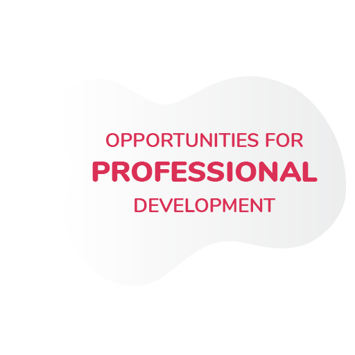 Opportunities for professional development